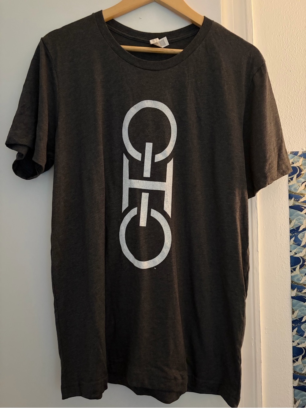 OHIO Men's Black Graphic Tee with Vertical White Logo